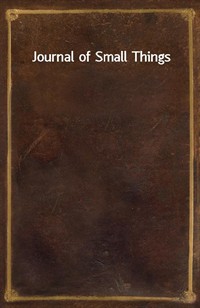 Journal of Small Things (커버이미지)