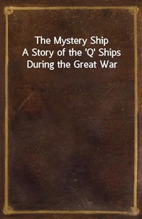 The Mystery ShipA Story of the 'Q' Ships During the Great War (Ŀ̹)