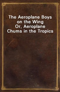 The Aeroplane Boys on the WingOr, Aeroplane Chums in the Tropics (Ŀ̹)