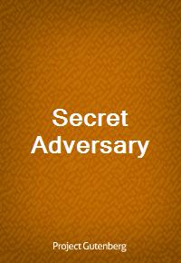 Secret Adversary (Ŀ̹)