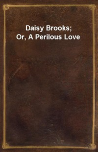 Daisy Brooks; Or, A Perilous Love (커버이미지)