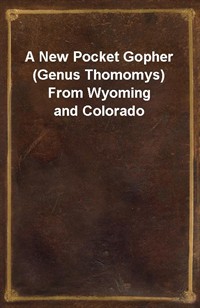 A New Pocket Gopher (Genus Thomomys) From Wyoming and Colorado (커버이미지)