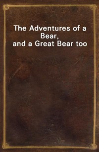 The Adventures of a Bear, and a Great Bear too (Ŀ̹)