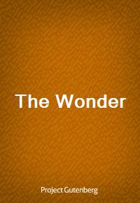 The Wonder (Ŀ̹)