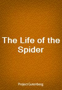 The Life of the Spider (Ŀ̹)