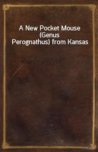 A New Pocket Mouse (Genus Perognathus) from Kansas (커버이미지)