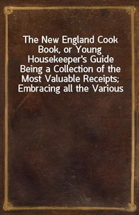 The New England Cook Book, or Young Housekeeper's GuideBeing a Collection of the Most Valuable Receipts; Embracing all the Various Branches of Cook (Ŀ̹)