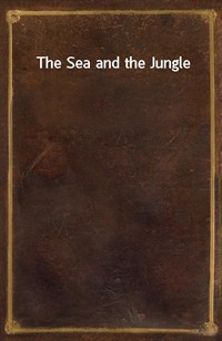 The Sea and the Jungle (Ŀ̹)