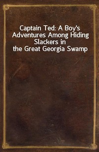 Captain Ted: A Boy's Adventures Among Hiding Slackers in the Great Georgia Swamp (커버이미지)