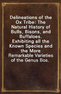 Delineations of the Ox Tribe: The Natural History of Bulls, Bisons, and Buffaloes.Exhibiting all the Known Species and the More Remarkable Varietie (커버이미지)