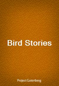 Bird Stories (커버이미지)