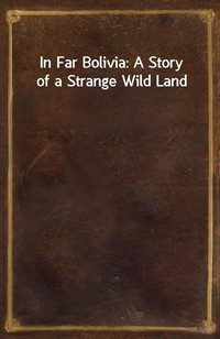 In Far Bolivia: A Story of a Strange Wild Land (커버이미지)