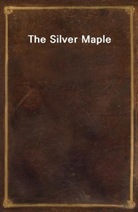 The Silver Maple (Ŀ̹)