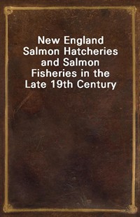 New England Salmon Hatcheries and Salmon Fisheries in the Late 19th Century (Ŀ̹)