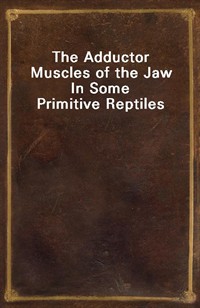 The Adductor Muscles of the Jaw In Some Primitive Reptiles (Ŀ̹)