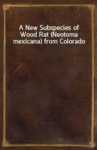 A New Subspecies of Wood Rat (Neotoma mexicana) from Colorado (커버이미지)