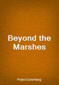 Beyond the Marshes (커버이미지)