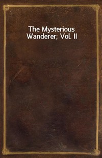 The Mysterious Wanderer; Vol. II (Ŀ̹)