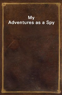 My Adventures as a Spy (Ŀ̹)