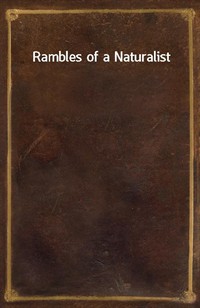 Rambles of a Naturalist (Ŀ̹)