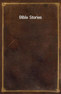 Bible Stories (커버이미지)