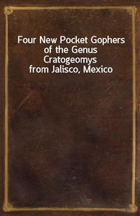 Four New Pocket Gophers of the Genus Cratogeomys from Jalisco, Mexico (커버이미지)