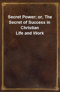 Secret Power; or, The Secret of Success in Christian Life and Work (Ŀ̹)