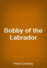 Bobby of the Labrador (커버이미지)