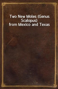 Two New Moles (Genus Scalopus) from Mexico and Texas (Ŀ̹)