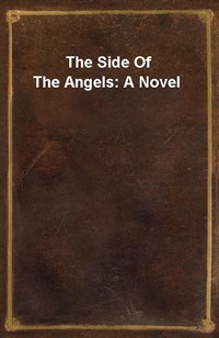 The Side Of The Angels: A Novel (Ŀ̹)