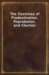 The Doctrines of Predestination, Reprobation, and Election (Ŀ̹)