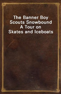 The Banner Boy Scouts SnowboundA Tour on Skates and Iceboats (Ŀ̹)