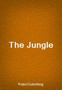 The Jungle (Ŀ̹)