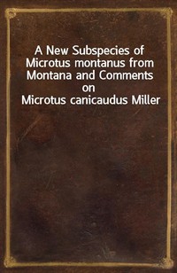 A New Subspecies of Microtus montanus from Montana and Comments on Microtus canicaudus Miller (커버이미지)