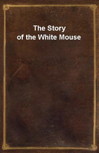 The Story of the White Mouse (Ŀ̹)