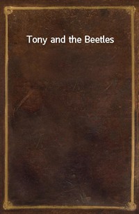 Tony and the Beetles (Ŀ̹)