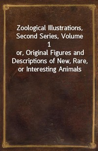 Zoological Illustrations, Second Series, Volume 1or, Original Figures and Descriptions of New, Rare, or Interesting Animals (커버이미지)