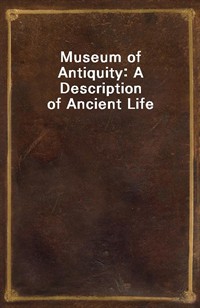 Museum of Antiquity: A Description of Ancient Life (Ŀ̹)