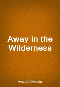 Away in the Wilderness (커버이미지)