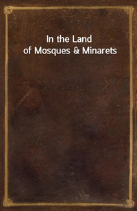 In the Land of Mosques&Minarets (커버이미지)