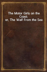 The Motor Girls on the Coast; or, The Waif From the Sea (커버이미지)