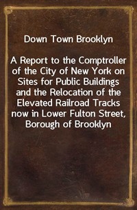 Down Town BrooklynA Report to the Comptroller of the City of New York on Sites for Public Buildings and the Relocation of the Elevated Railroad Tra (커버이미지)