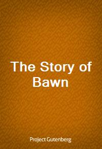 The Story of Bawn (Ŀ̹)