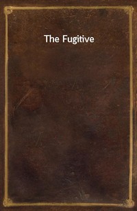 The Fugitive (커버이미지)