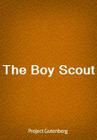 The Boy Scout (Ŀ̹)