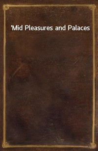 'Mid Pleasures and Palaces (커버이미지)