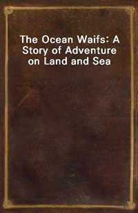 The Ocean Waifs: A Story of Adventure on Land and Sea (Ŀ̹)