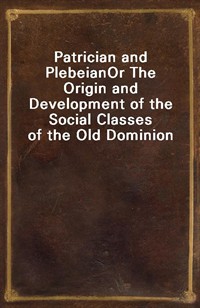 Patrician and PlebeianOr The Origin and Development of the Social Classes of the Old Dominion (Ŀ̹)