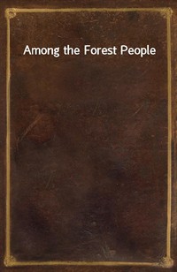 Among the Forest People (커버이미지)