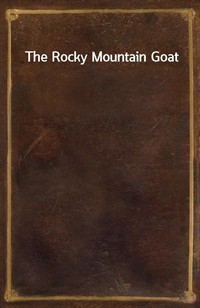 The Rocky Mountain Goat (Ŀ̹)